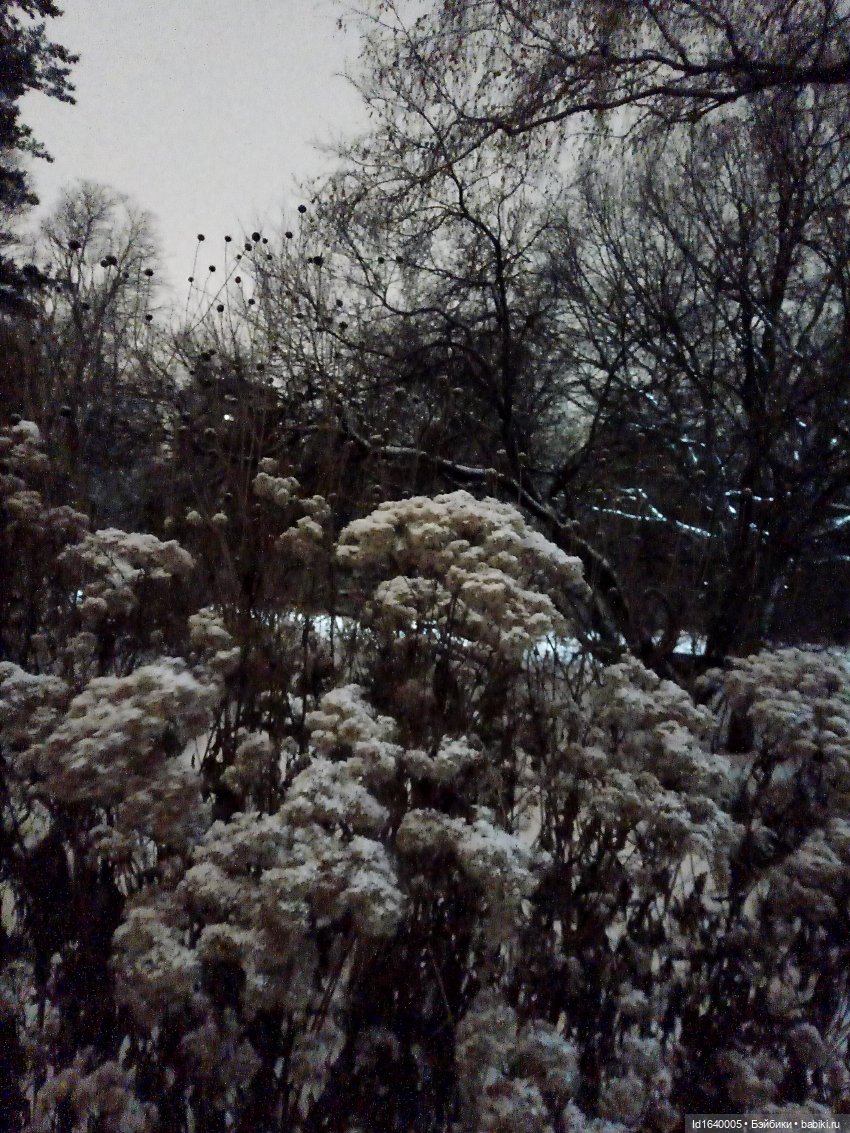 Шла девочка по снегу — Винтажные куклы ГДР (Немки): Бигги