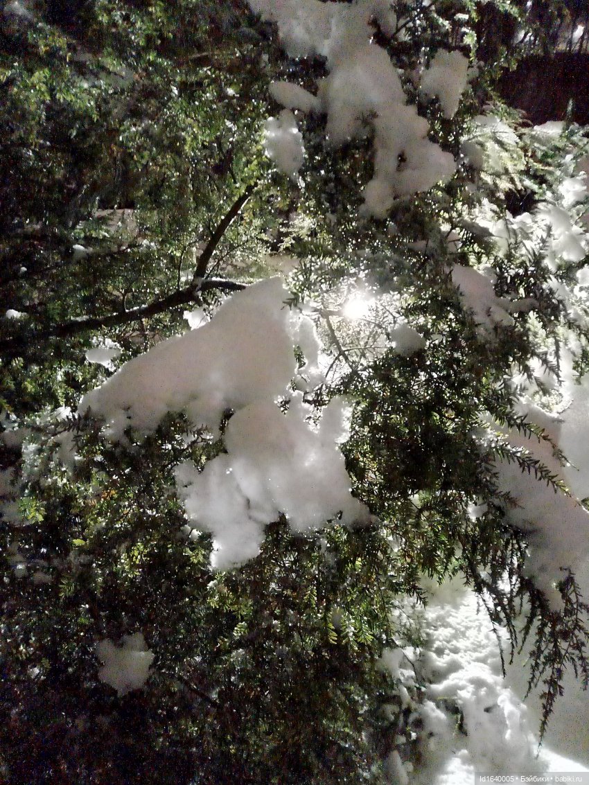 Шла девочка по снегу — Винтажные куклы ГДР (Немки): Бигги