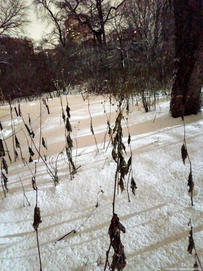 Шла девочка по снегу — Винтажные куклы ГДР (Немки): Бигги