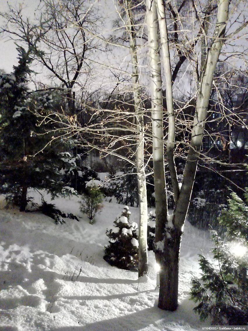 Шла девочка по снегу — Винтажные куклы ГДР (Немки): Бигги (фото 2)