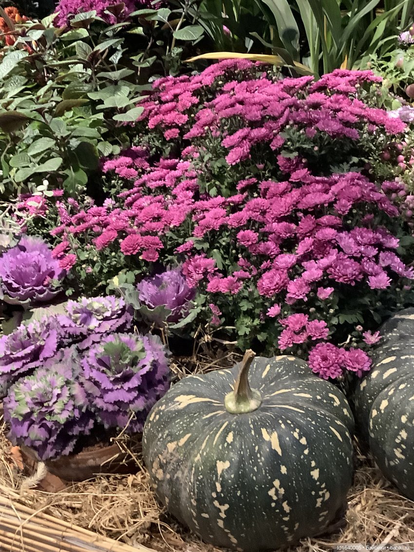 Размер имеет значение! Её Осеннее Величество