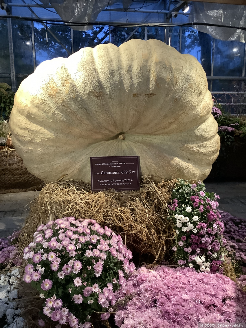 Размер имеет значение! Её Осеннее Величество