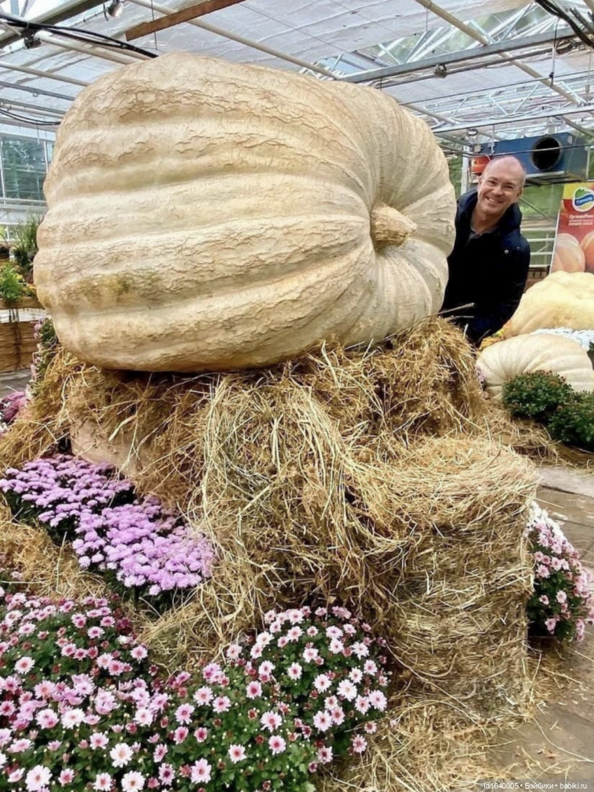 Размер имеет значение! Её Осеннее Величество