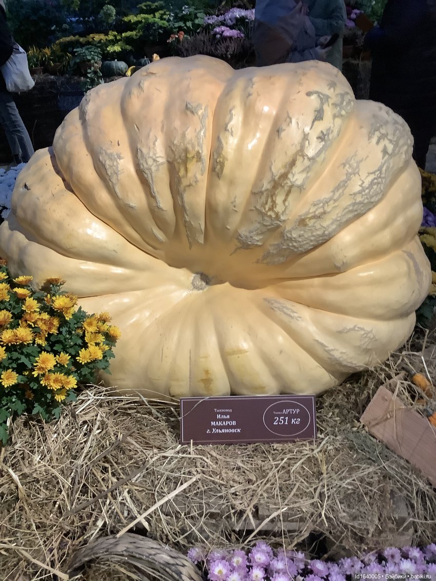 Размер имеет значение! Её Осеннее Величество (фото 6)