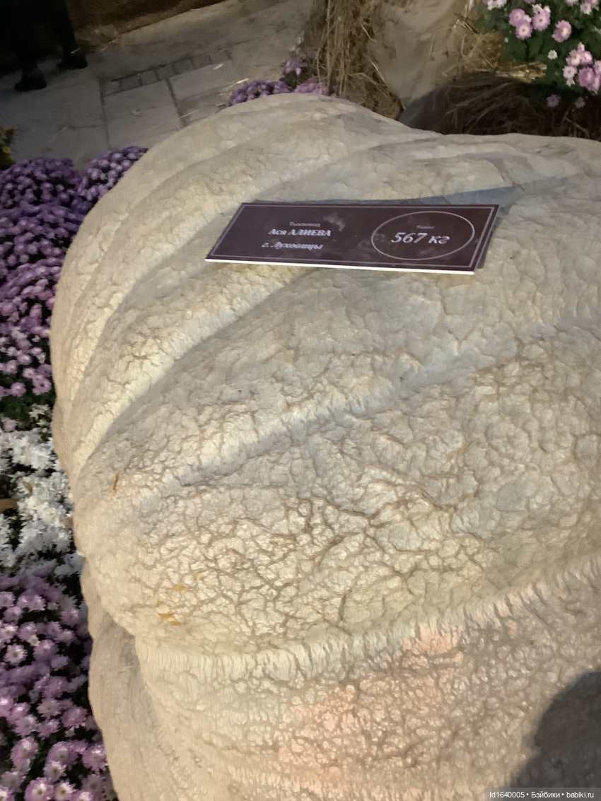 Размер имеет значение! Её Осеннее Величество (фото 7)