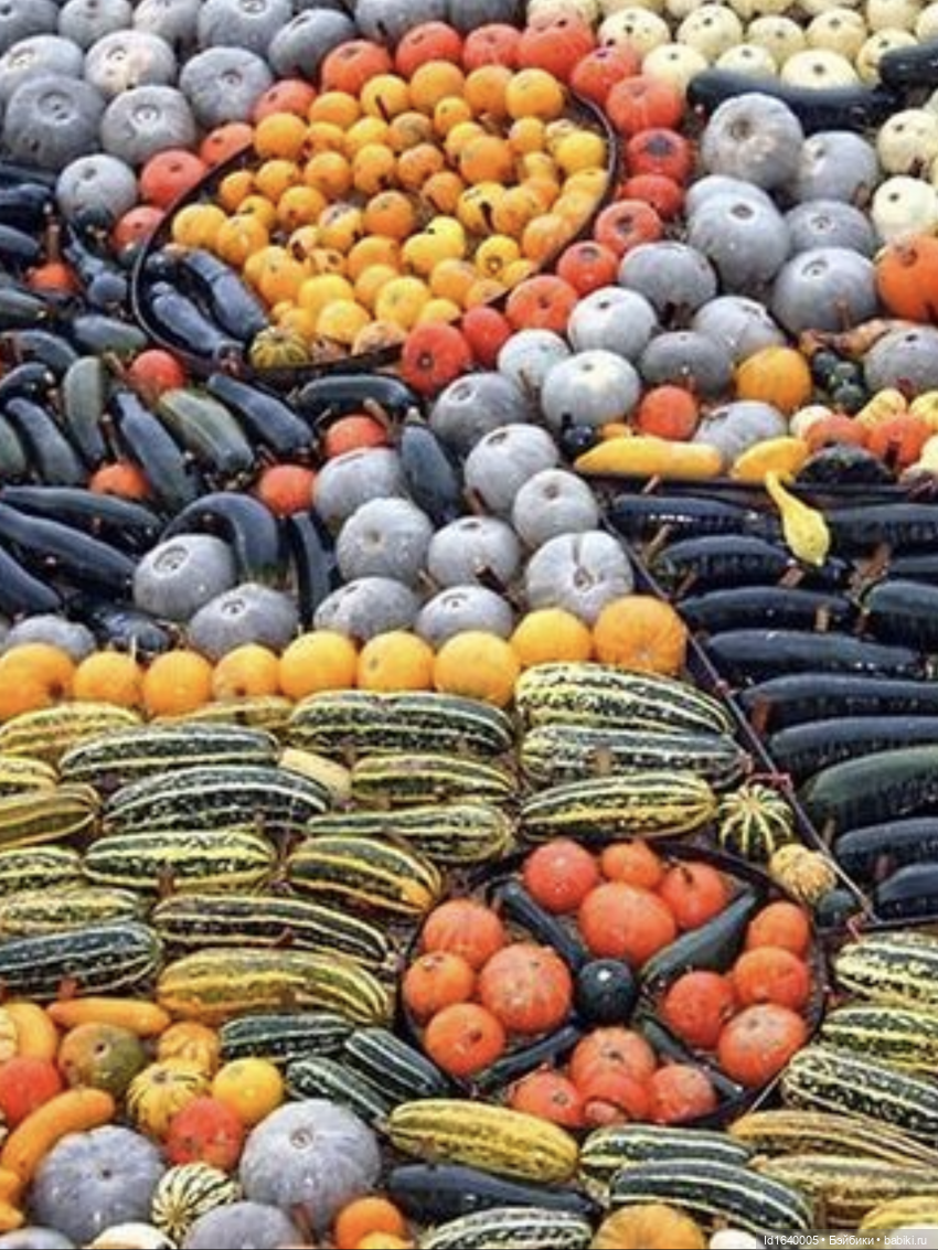 Размер имеет значение! Её Осеннее Величество