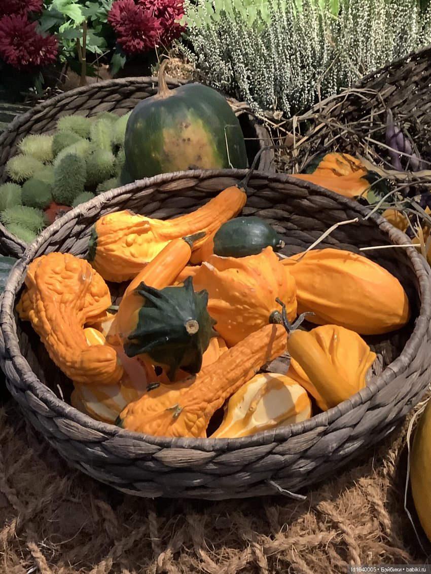 Размер имеет значение! Её Осеннее Величество