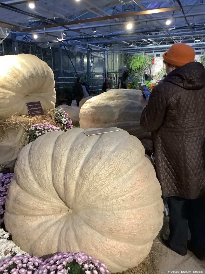 Размер имеет значение! Её Осеннее Величество