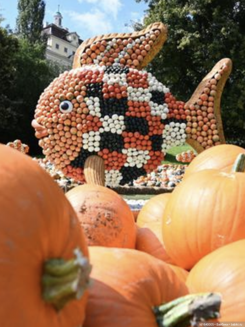 Размер имеет значение! Её Осеннее Величество