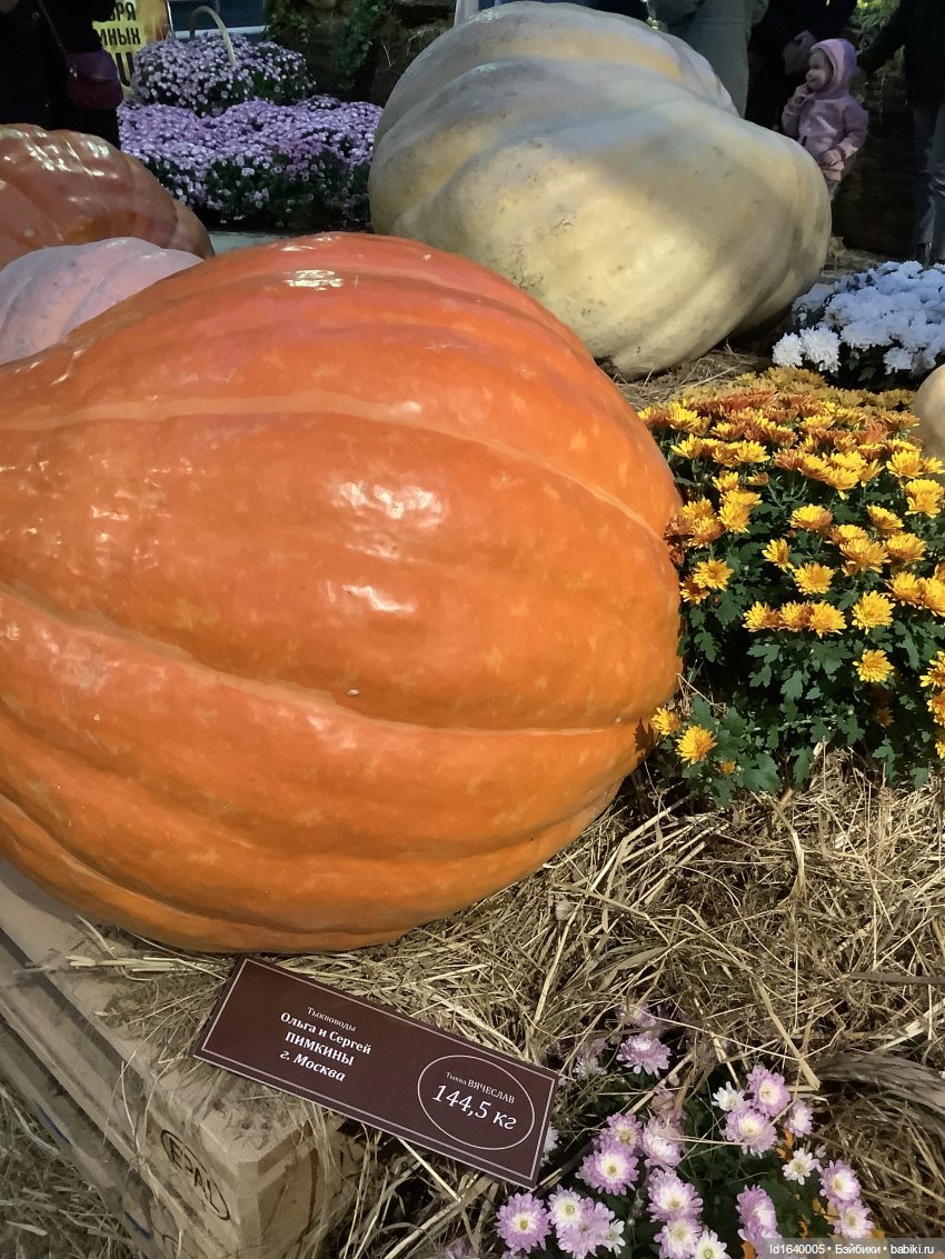 Размер имеет значение! Её Осеннее Величество
