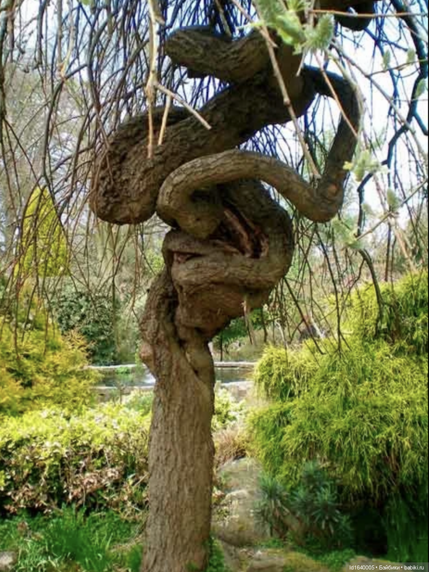 Посланные беречь природу. О нимфах и об одной кукле