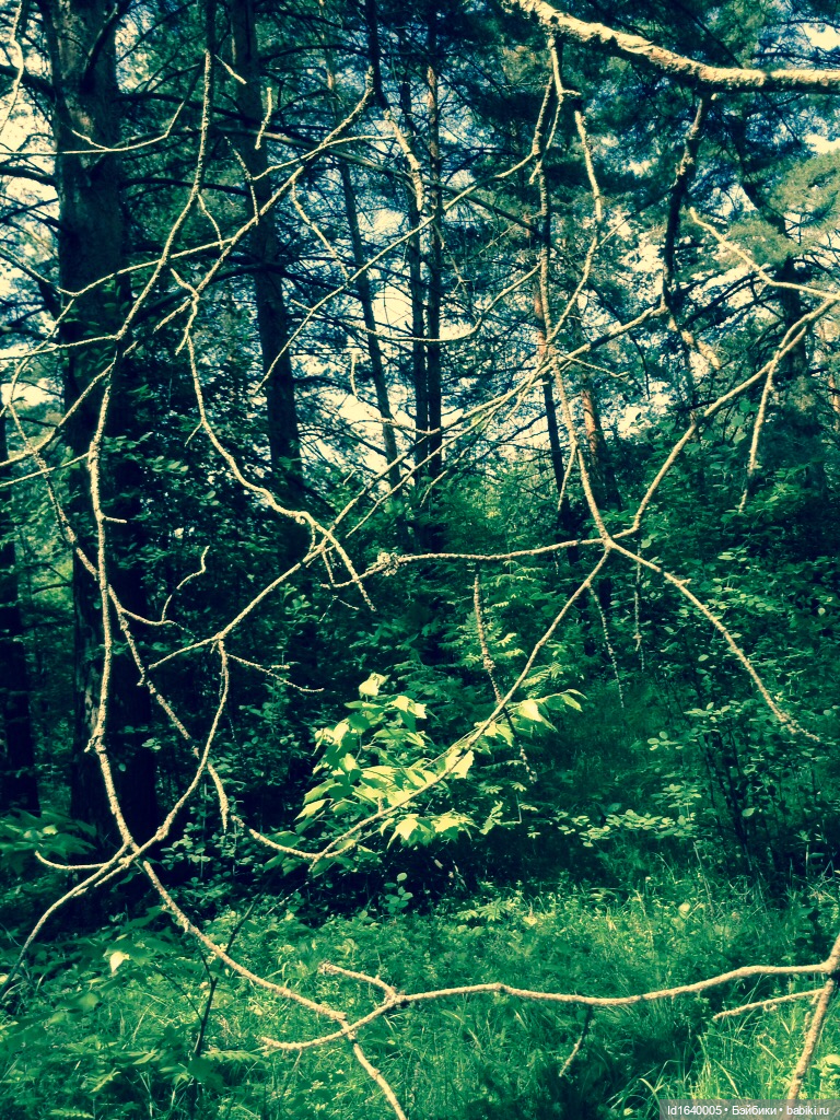 Посланные беречь природу. О нимфах и об одной кукле (фото 10)