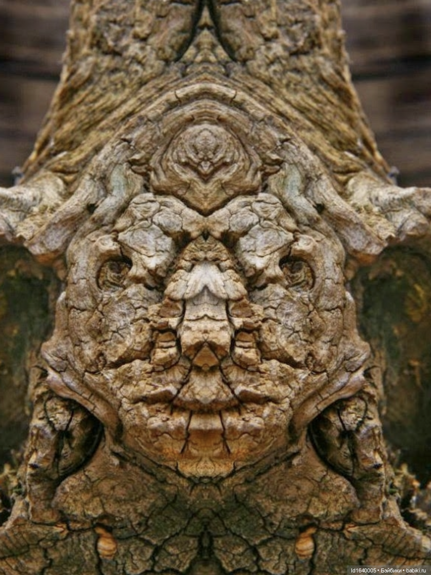 Посланные беречь природу. О нимфах и об одной кукле (фото 7)