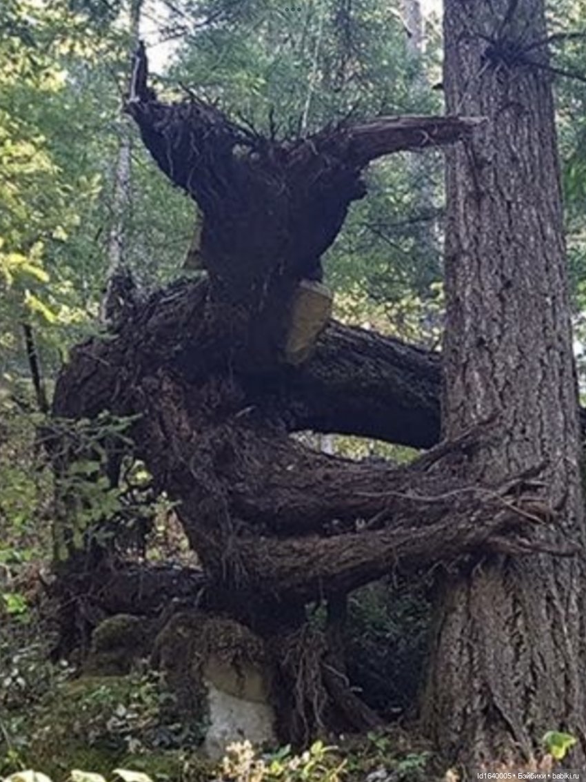 Посланные беречь природу. О нимфах и об одной кукле