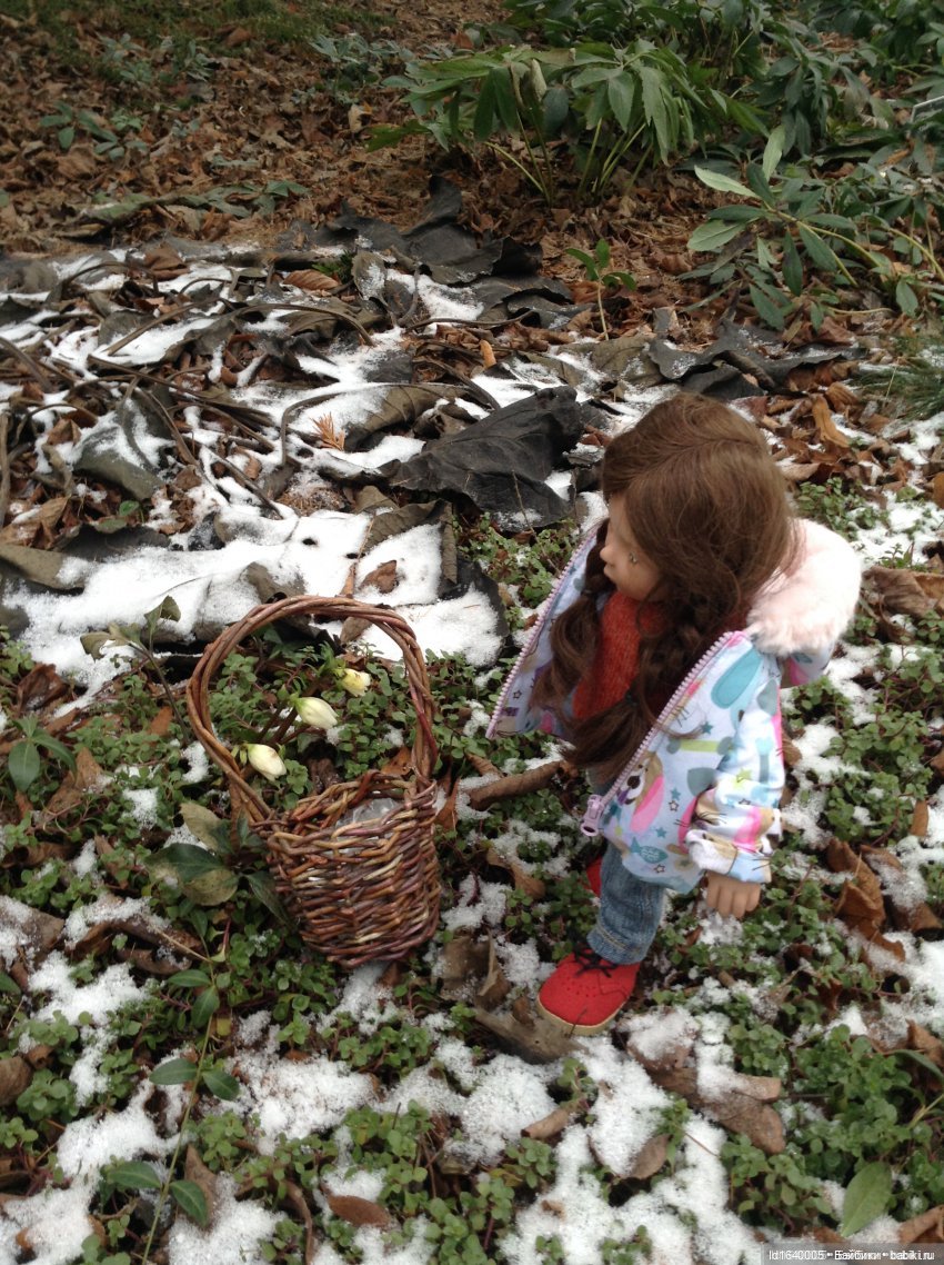 Первый танец зимы с весной. Триша и московские подснежники (фото 4)