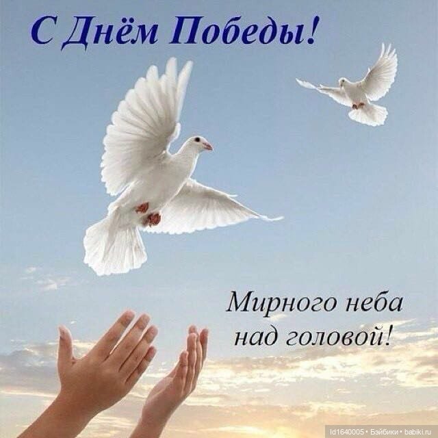 Поэт с Арбата, не любивший говорить о себе. 9 мая День Рождения Булата Окуджавы (фото 3)