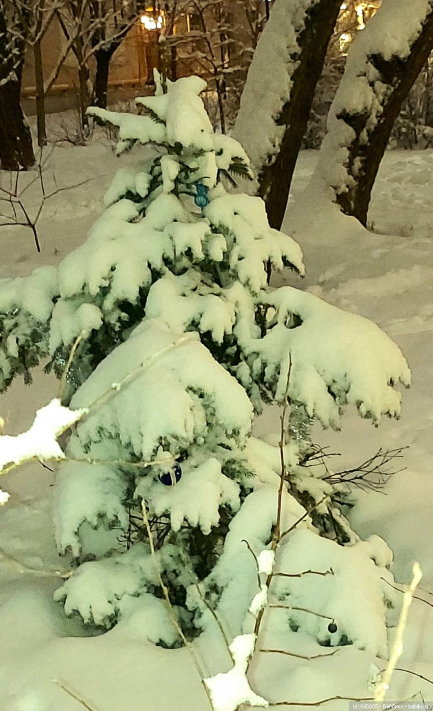 В Екатерининском парке накануне Рождества