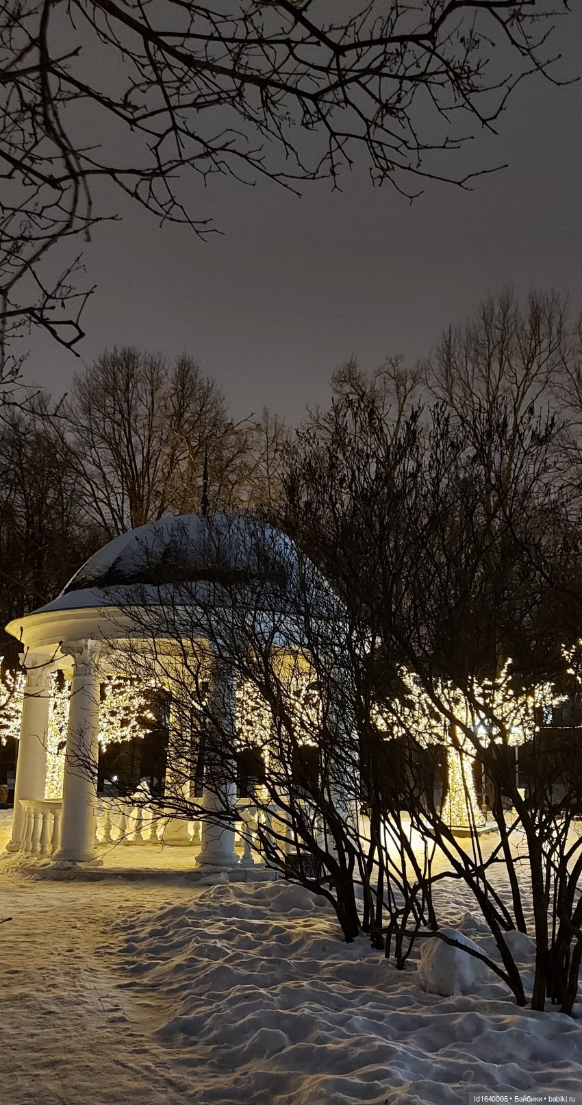 В Екатерининском парке накануне Рождества (фото 10)