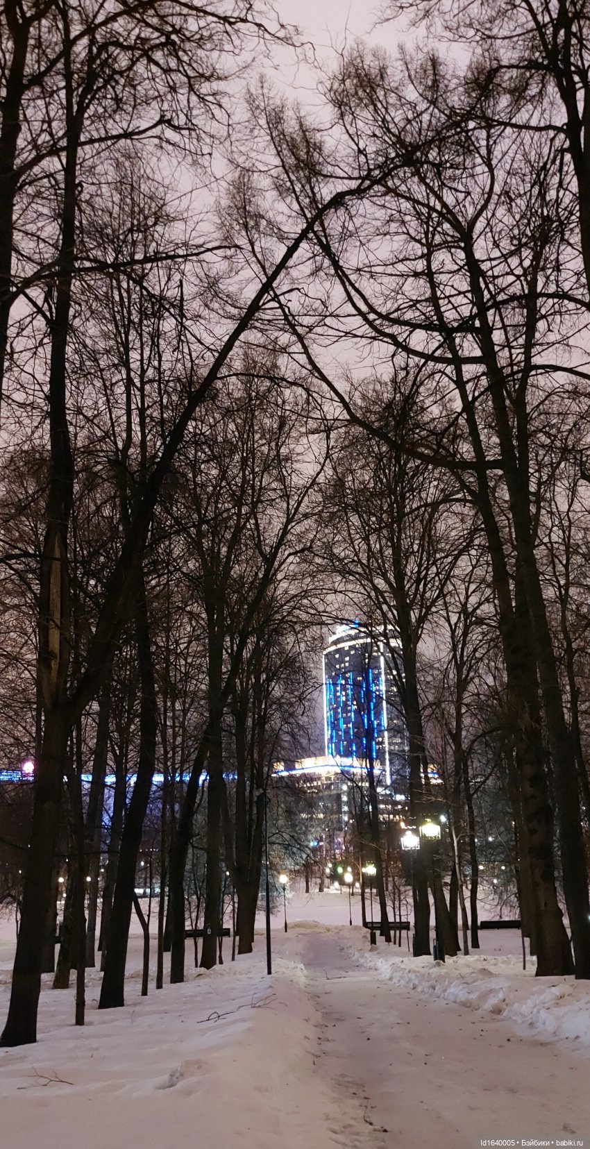 В Екатерининском парке накануне Рождества (фото 5)