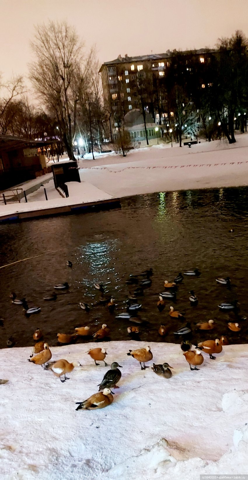 В Екатерининском парке накануне Рождества