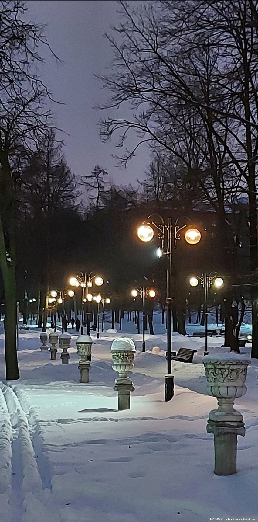 В Екатерининском парке накануне Рождества
