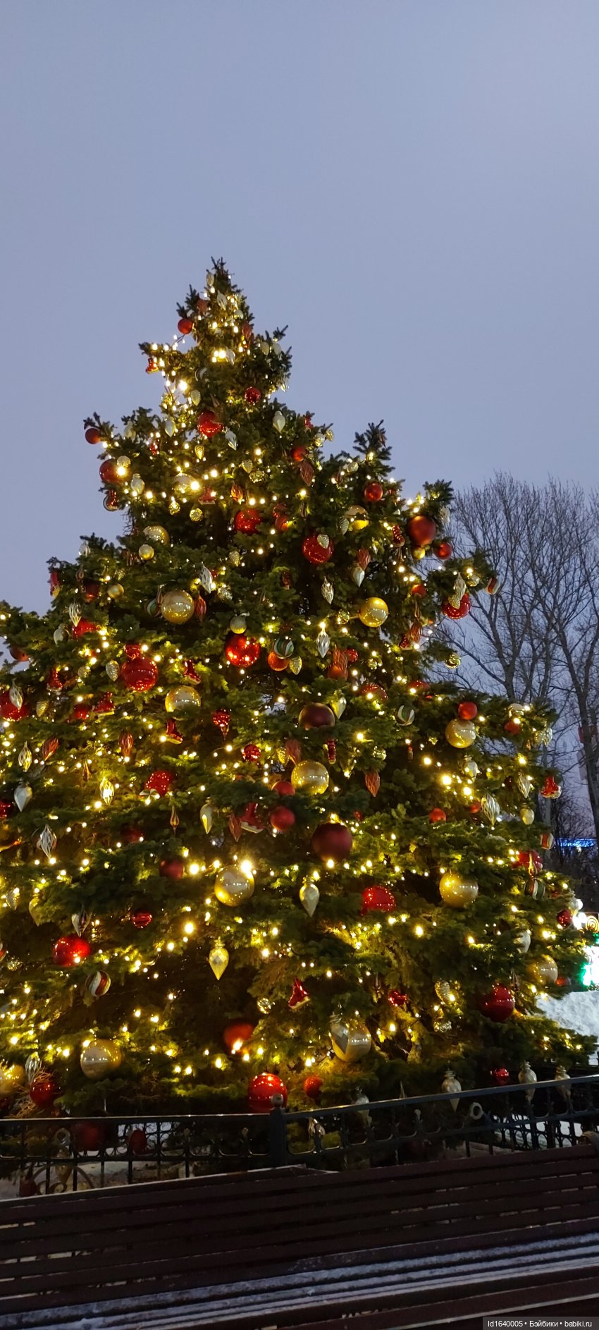 В Екатерининском парке накануне Рождества (фото 7)