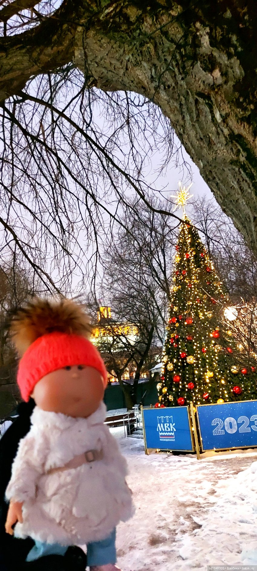 В Екатерининском парке накануне Рождества (фото 6)