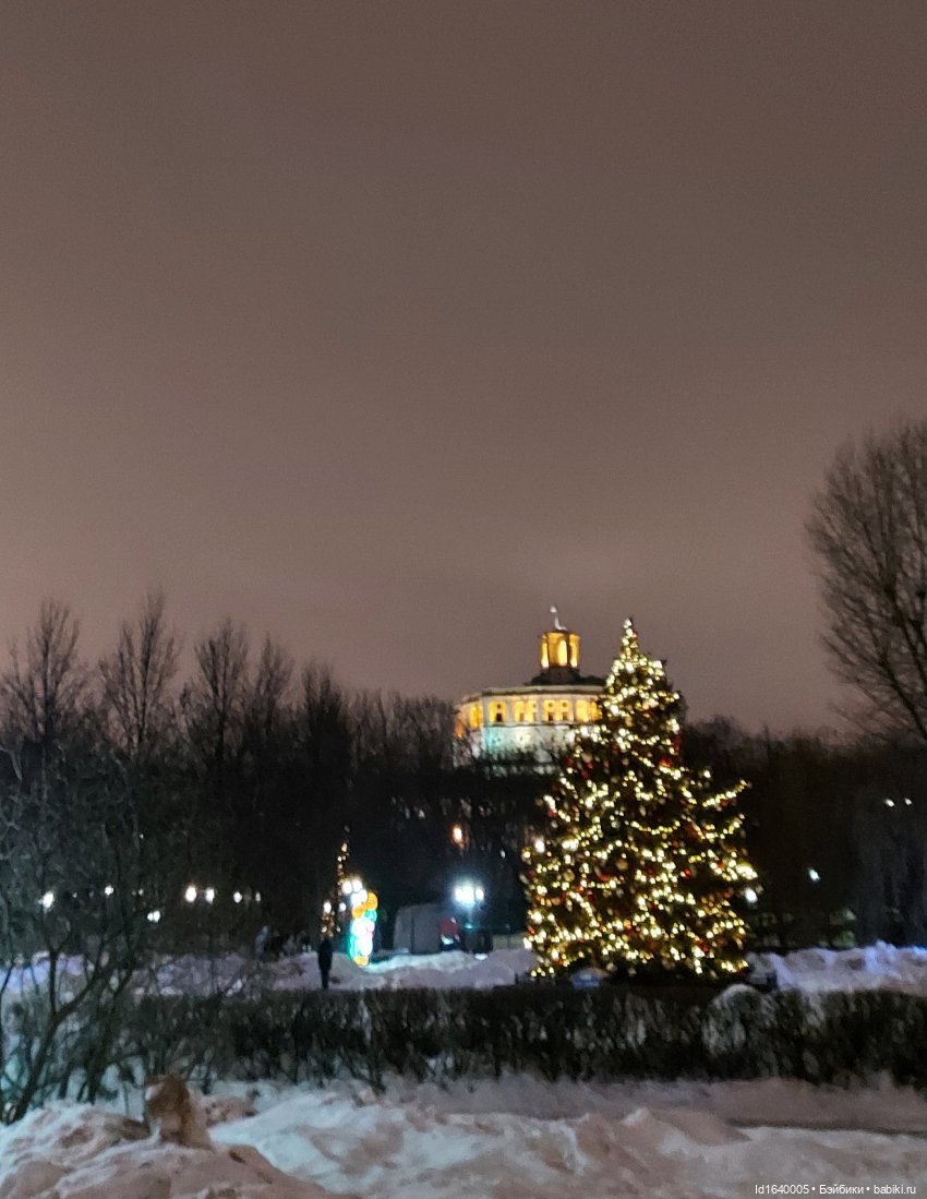В Екатерининском парке накануне Рождества (фото 4)