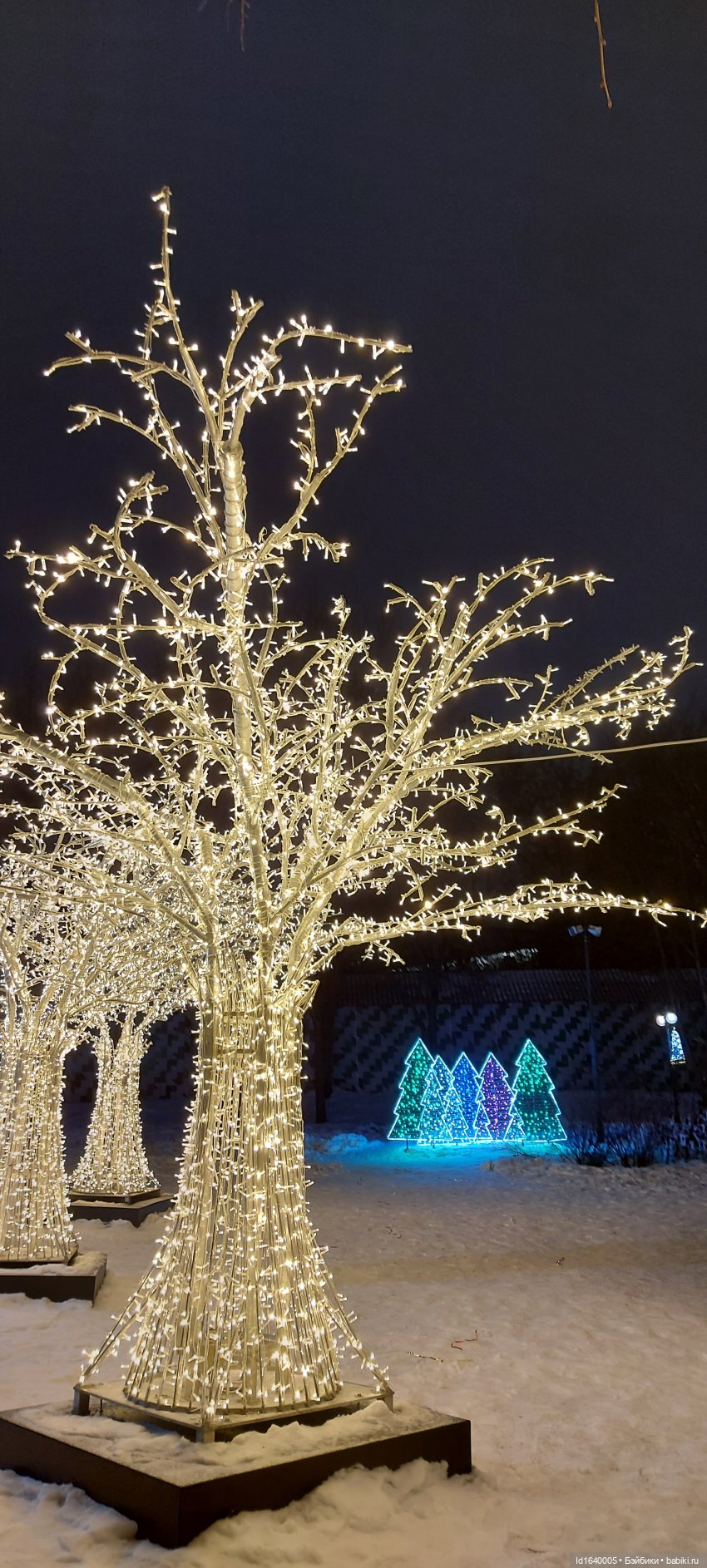 В Екатерининском парке накануне Рождества