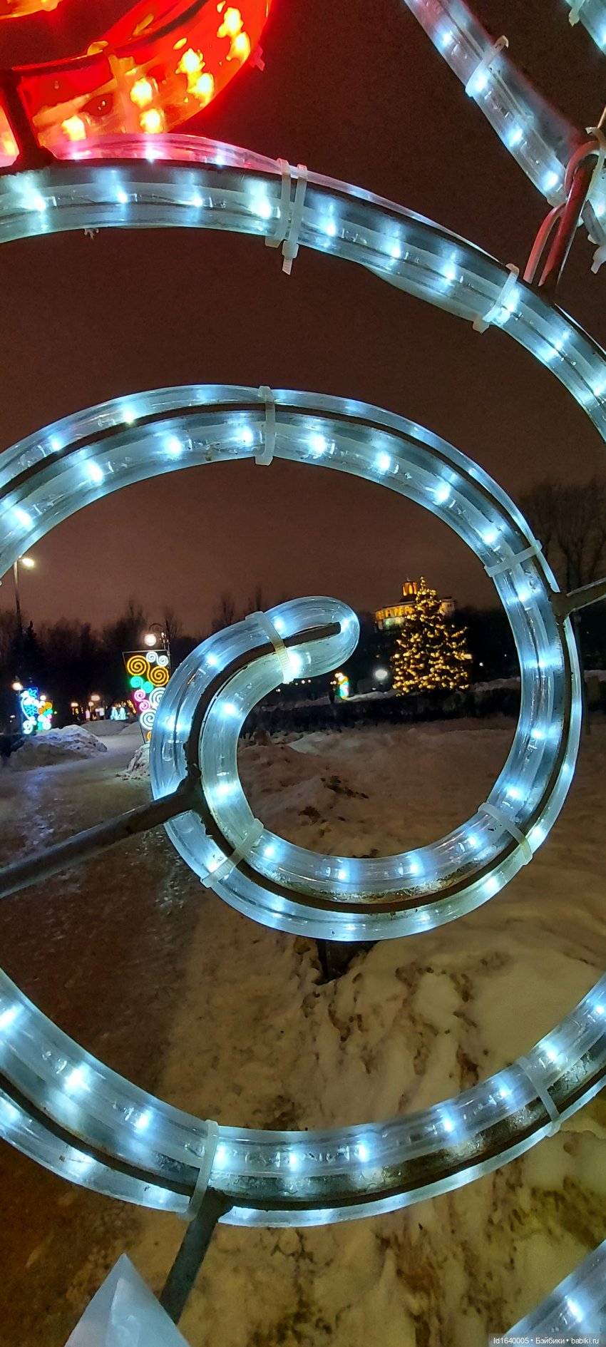 В Екатерининском парке накануне Рождества (фото 3)