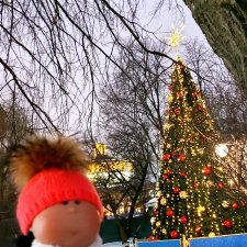 В Екатерининском парке накануне Рождества