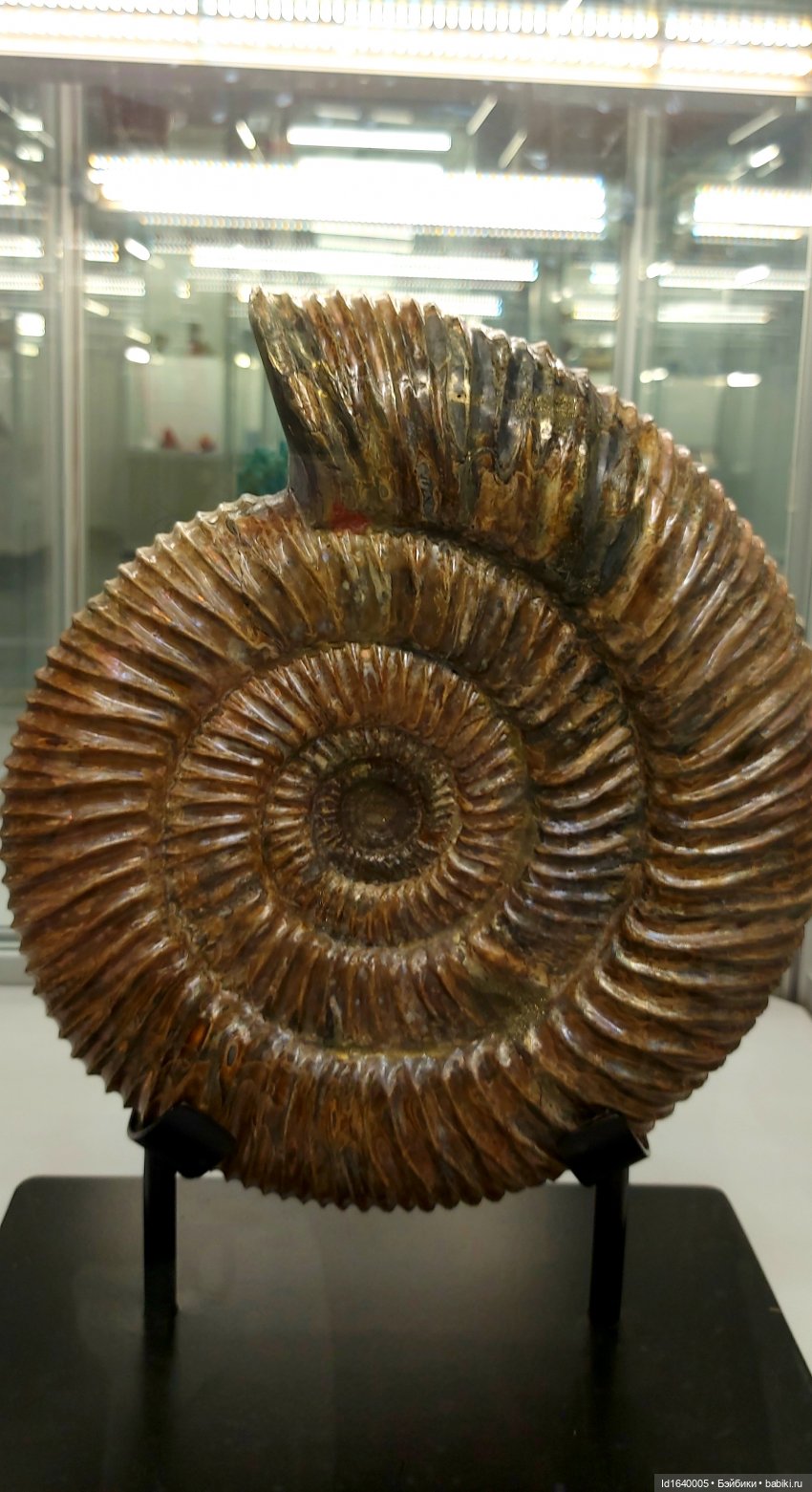 Сокровища самоцветного фестиваля (фото 4)