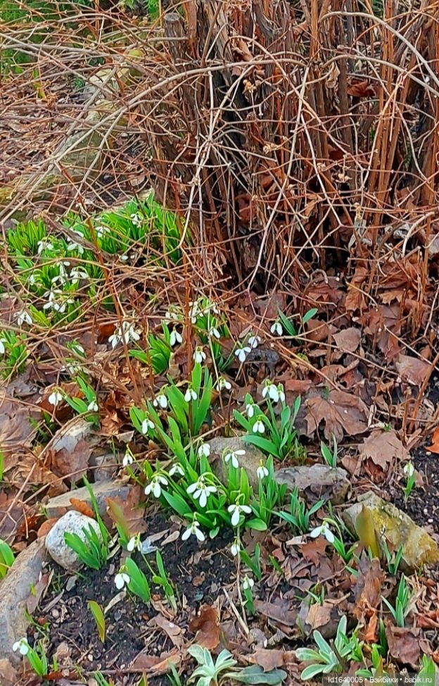 Весна на Ивановской горке. Как мы шли на Хитровку, а попали на Хохловку