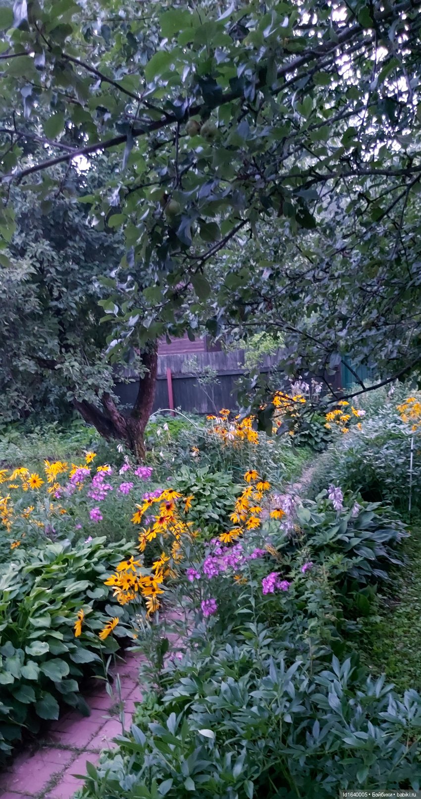 Детство, постой — Куклы Petitcollin (Петитколлин) и Sylvia Natterer: Minouche