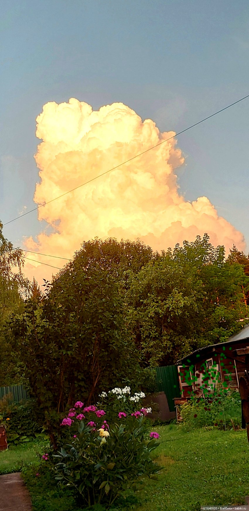 Детство, постой — Куклы Petitcollin (Петитколлин) и Sylvia Natterer: Minouche