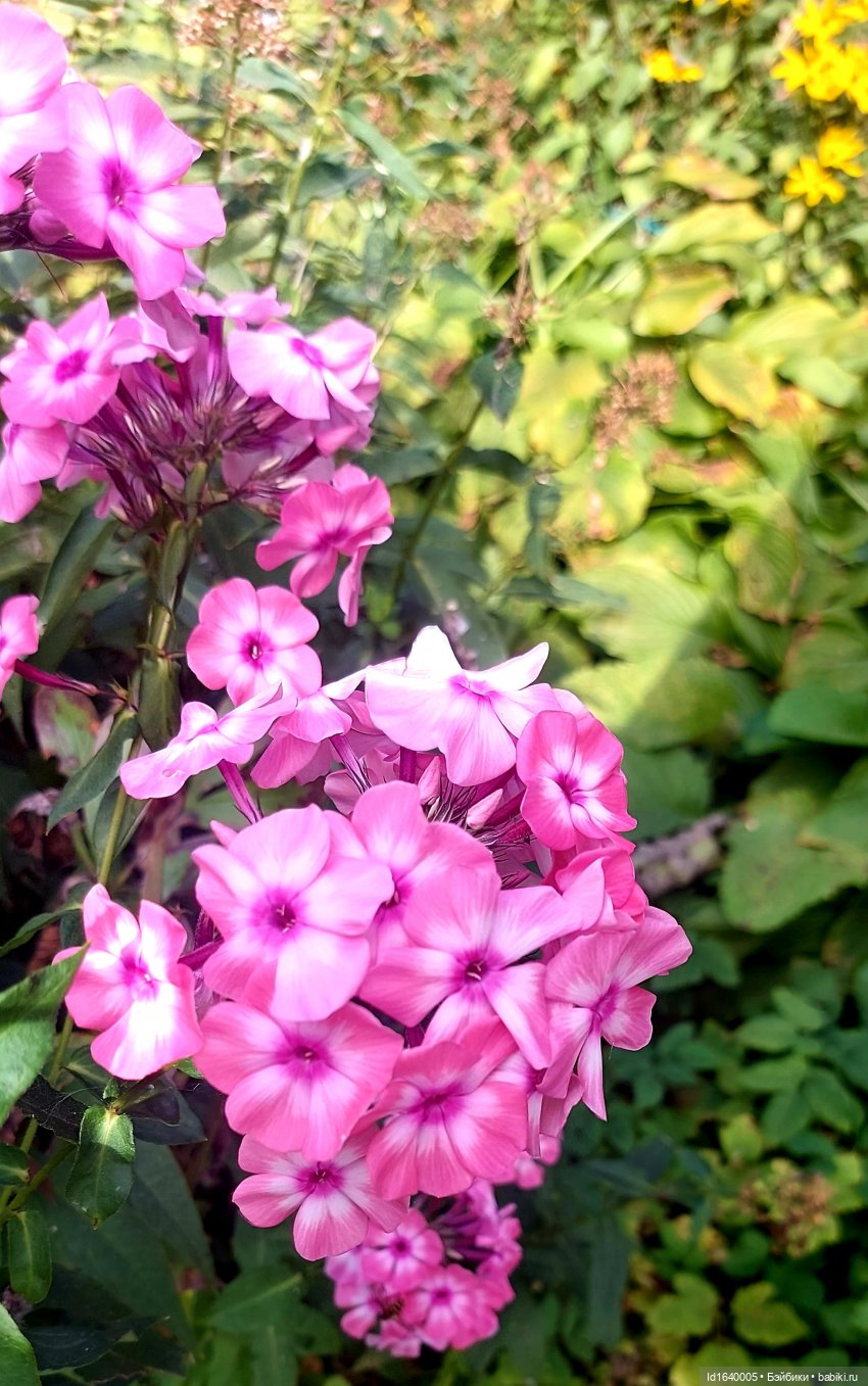 ВСЕГО ЛИШЬ КУКЛЫ... Красивые, но нелюбимые песни из репертуара Муслима Магомаева. История "Восковой куклы". Моя кукольная