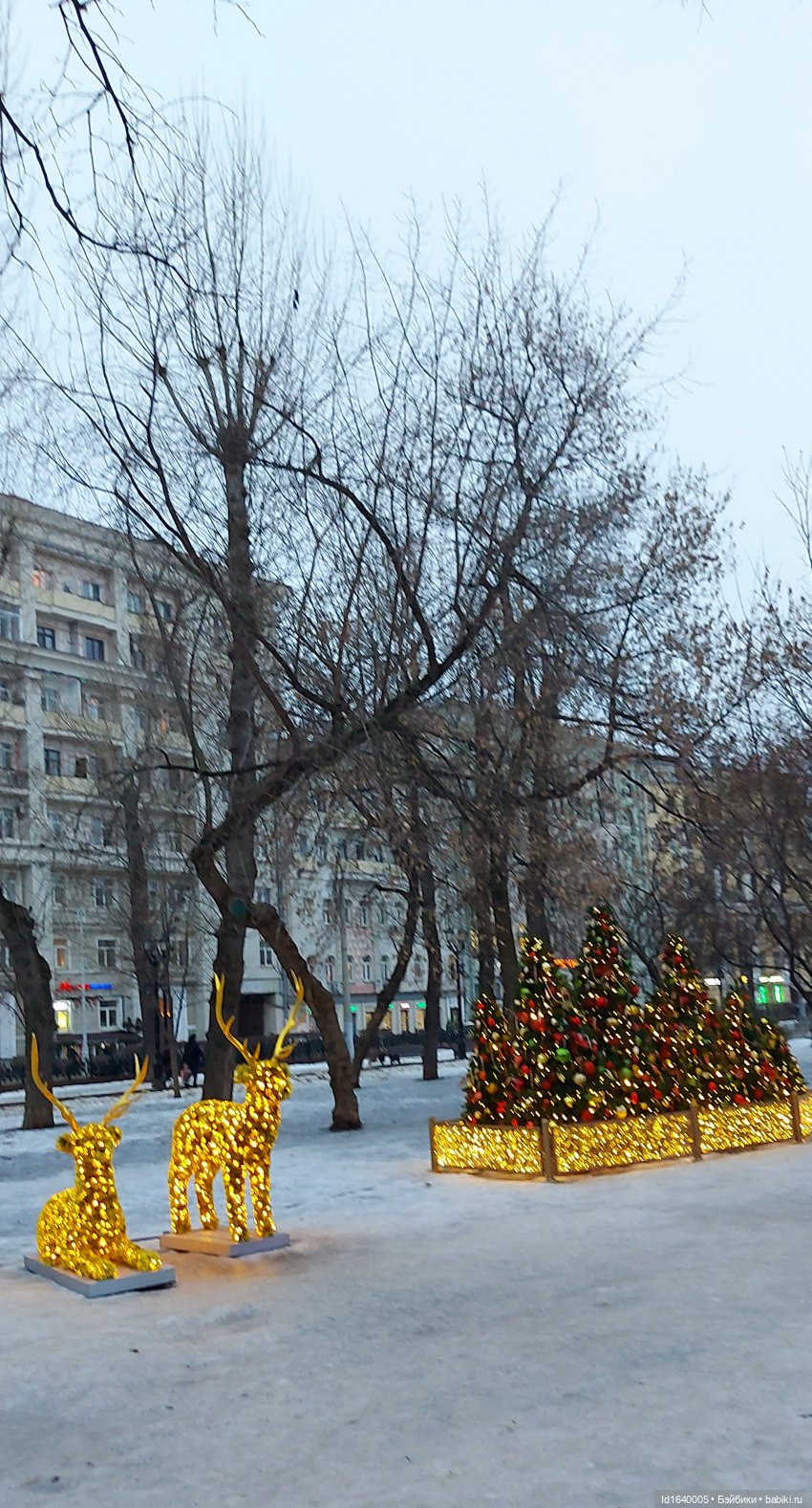 Предрождественская прогулка 1: бульвары Сретенский и Чистопрудный