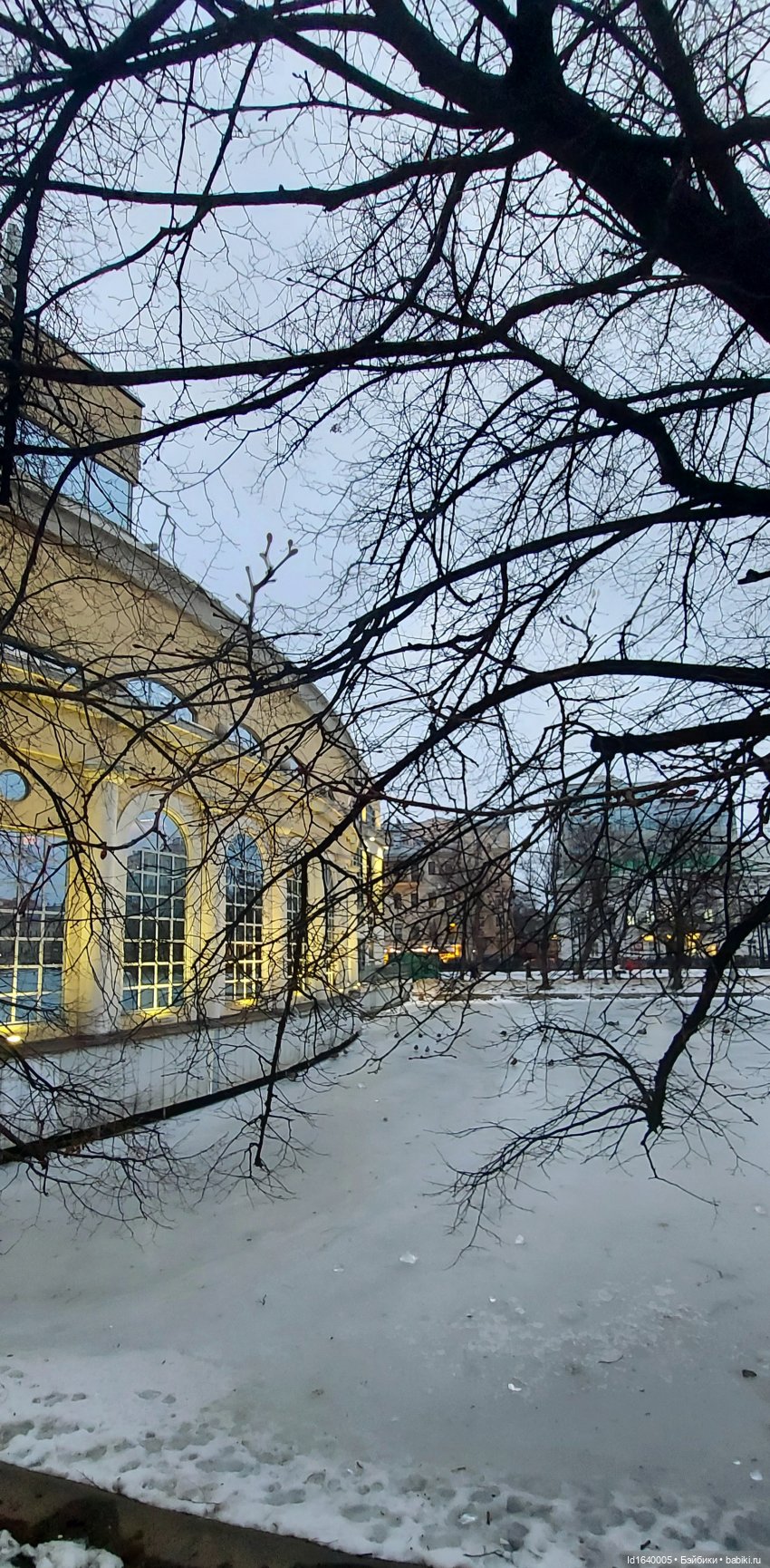 Предрождественская прогулка 1: бульвары Сретенский и Чистопрудный (фото 9)