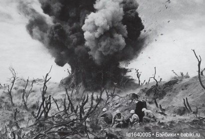 "В этой роще берёзовой". Поезда Победы. О птицах и войне