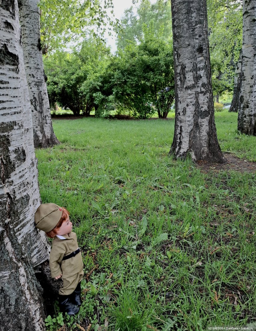 "В этой роще берёзовой". Поезда Победы. О птицах и войне