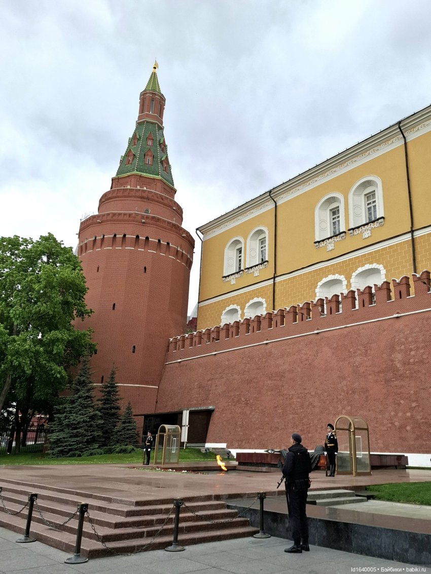 "В этой роще берёзовой". Поезда Победы. О птицах и войне