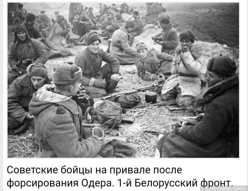 "В этой роще берёзовой". Поезда Победы. О птицах и войне