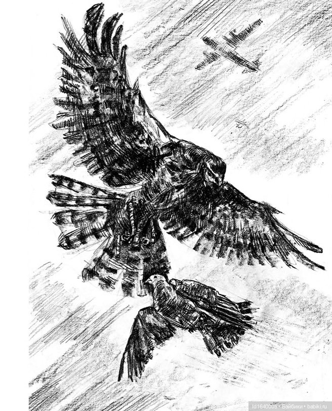 "В этой роще берёзовой". Поезда Победы. О птицах и войне