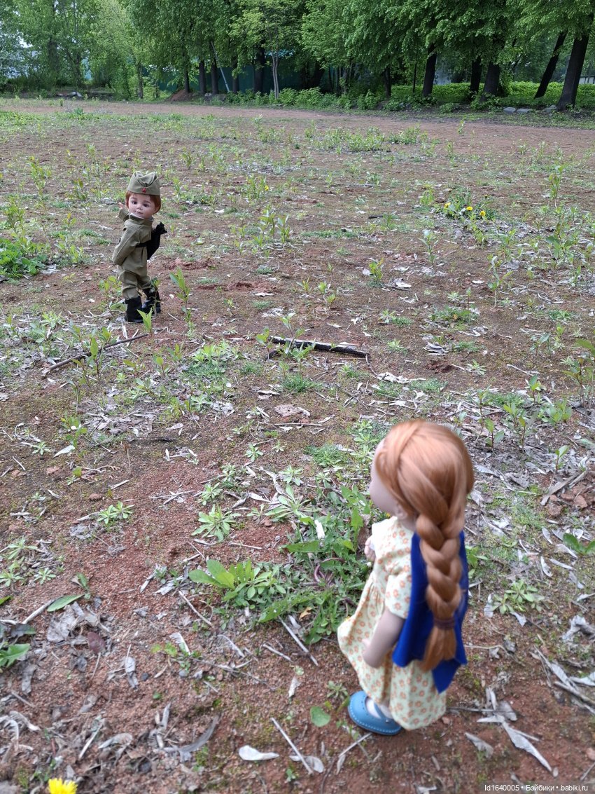 "В этой роще берёзовой". Поезда Победы. О птицах и войне