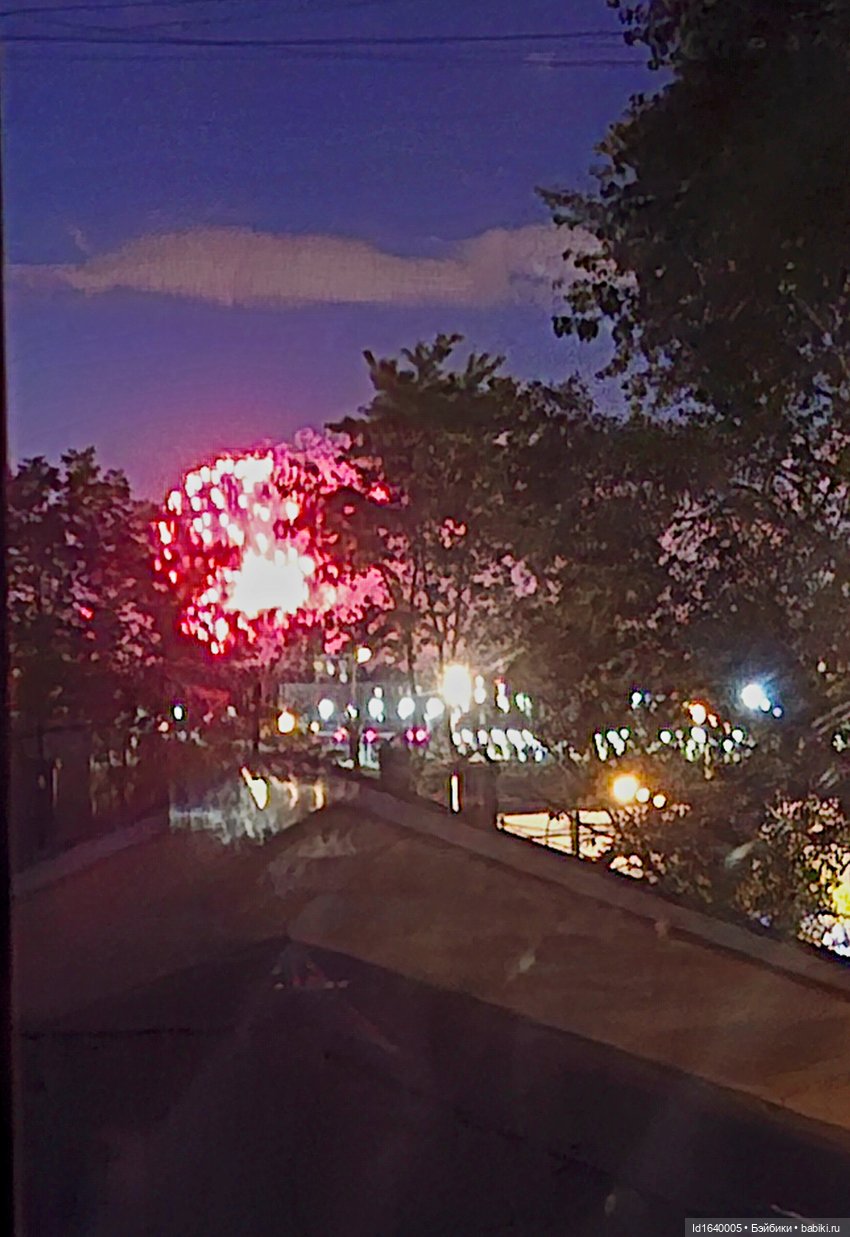 "В этой роще берёзовой". Поезда Победы. О птицах и войне