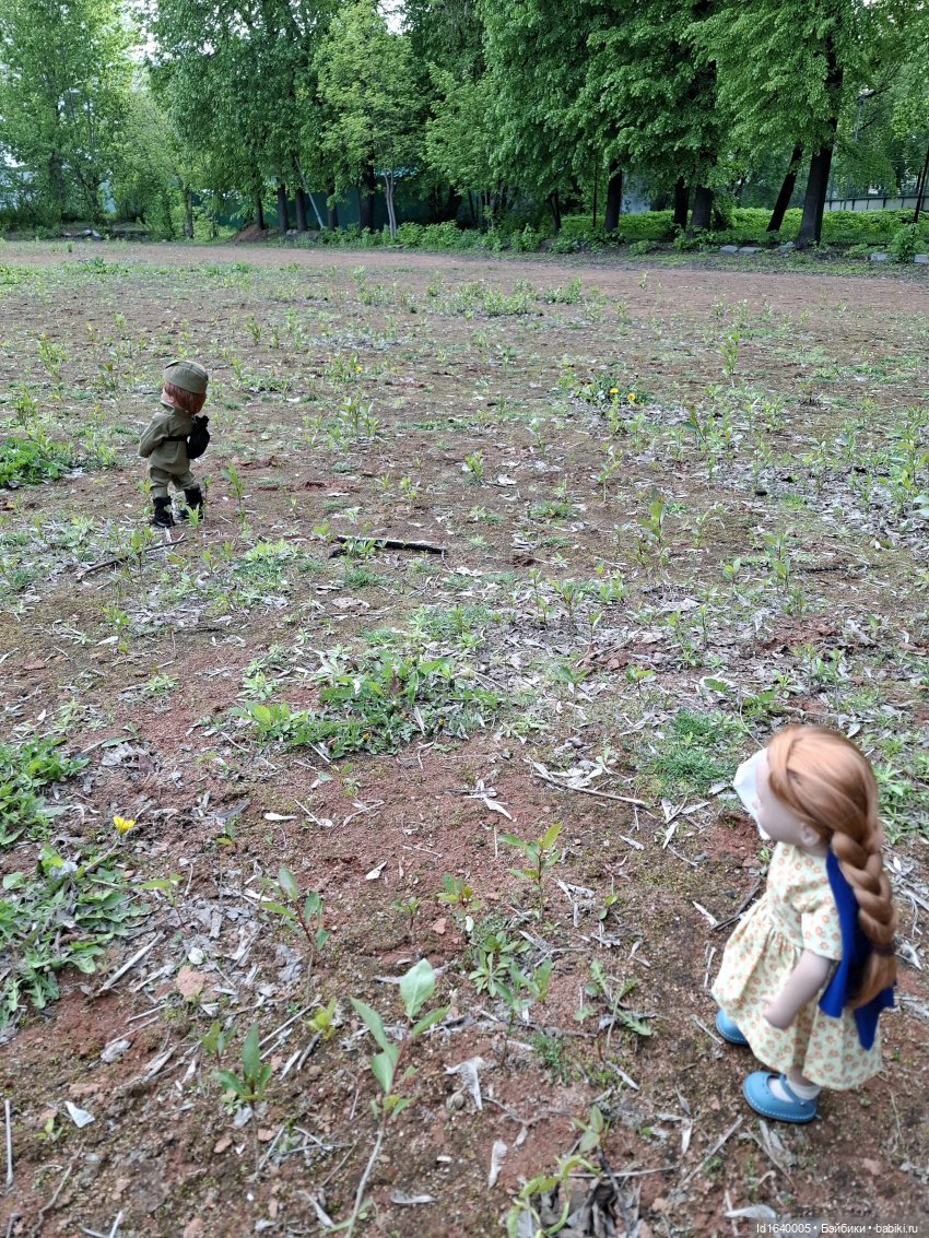 "В этой роще берёзовой". Поезда Победы. О птицах и войне