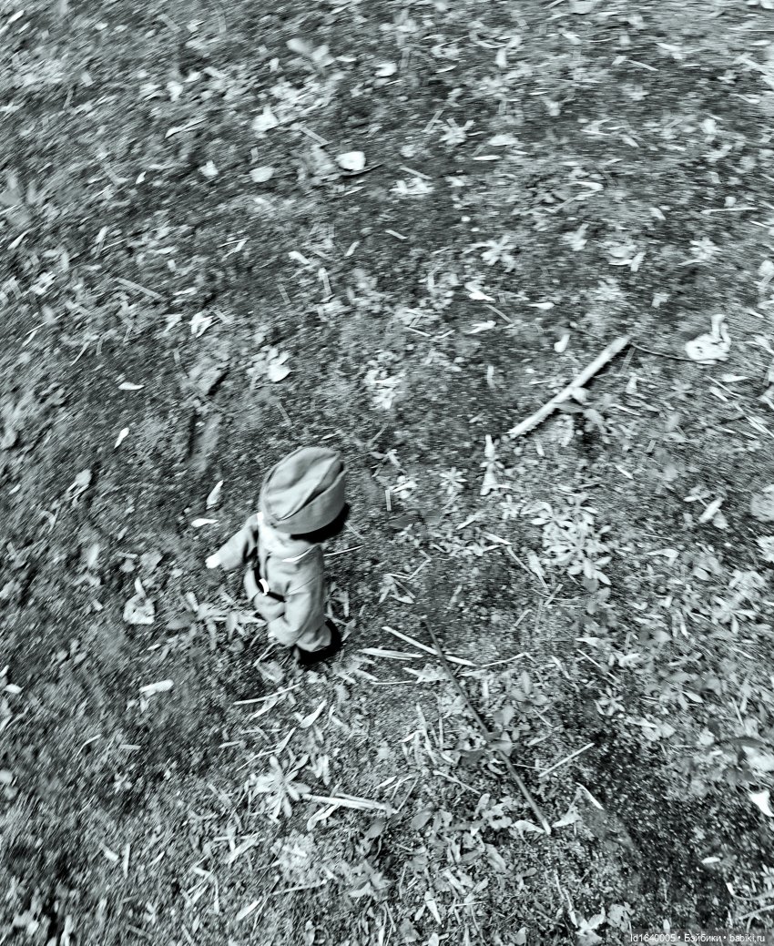 "В этой роще берёзовой". Поезда Победы. О птицах и войне