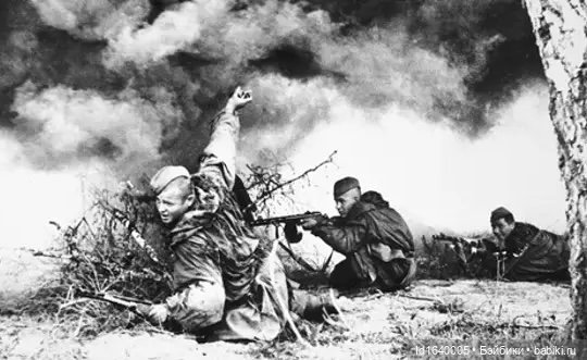 "В этой роще берёзовой". Поезда Победы. О птицах и войне