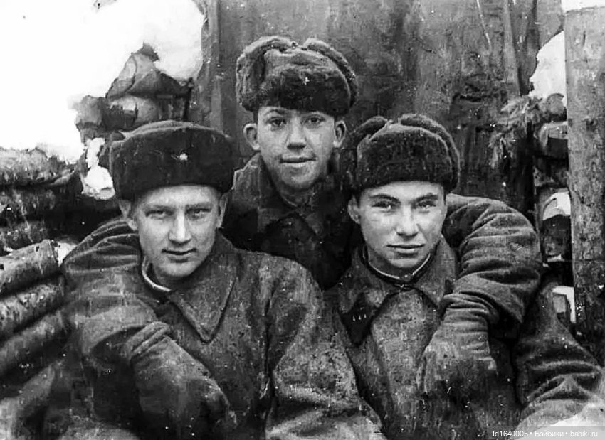 "В этой роще берёзовой". Поезда Победы. О птицах и войне