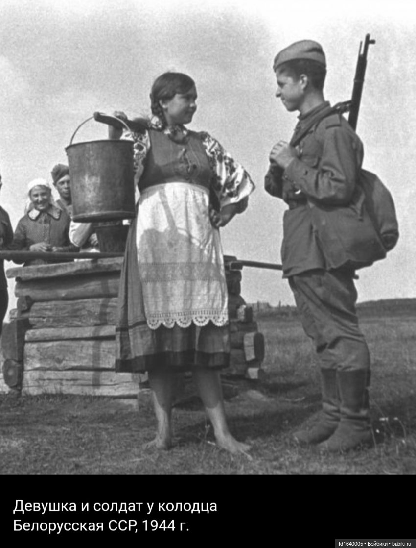 "В этой роще берёзовой". Поезда Победы. О птицах и войне